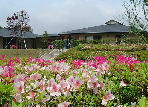 豊かな花と緑に囲まれた明るい霊園です。