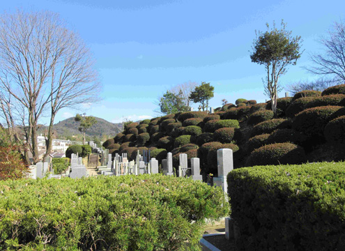 墓域