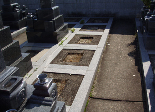 基礎や通路が整備された墓苑