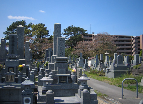 小学校が近く穏かな環境