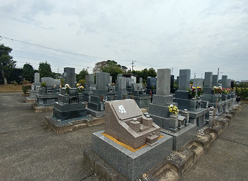 墓域２