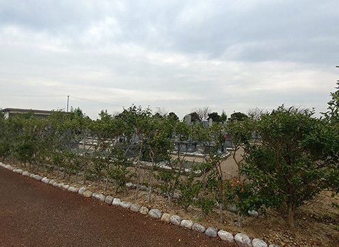 墓域2