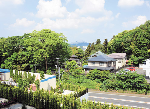 墓域２