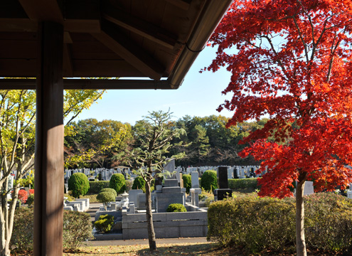 園内は至る所に植栽があり、季節を感じることができます。