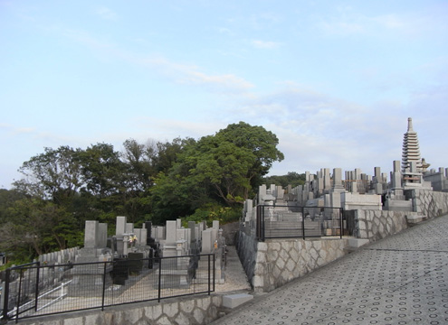 墓地風景