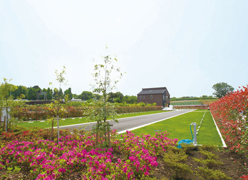 四季折々の木々や草花で彩られています。