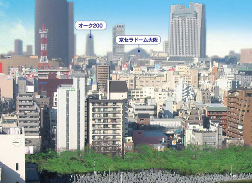 司馬遼太郎が愛したといわれる【上町台地からの夕陽】が有名で、霊園からの景観は風致地区として守られ、高層ビルが立ち並ぶことなく、園内では随所で緑があふれている。