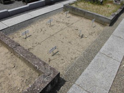 境内には春夏秋冬問わず、水仙、あんず、さくら、牡丹など、沢山の花々が景観を美しく彩る寺院です。