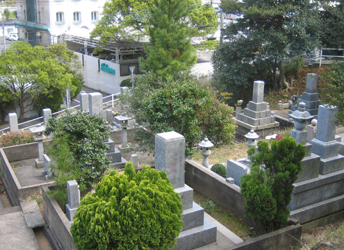 国道３号線（戸畑バイパス）側