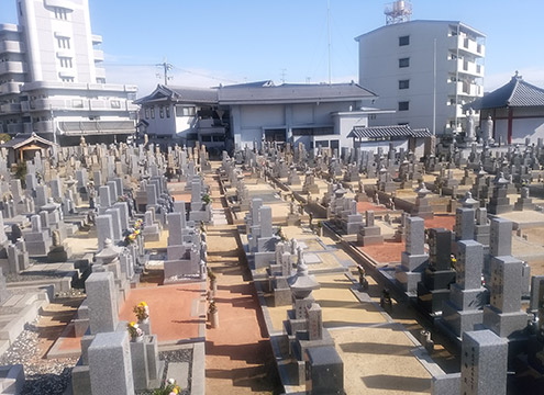 墓域２