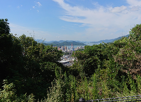 墓域の様子3