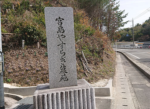墓域の様子