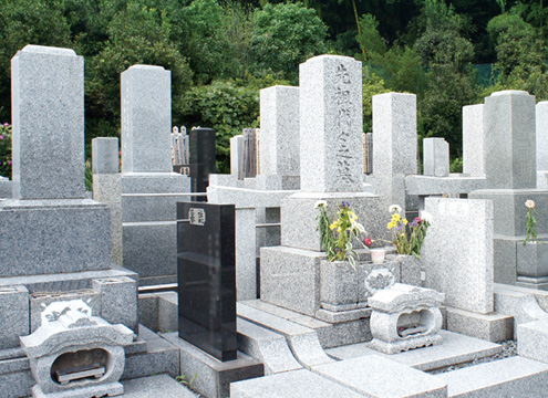 墓域
