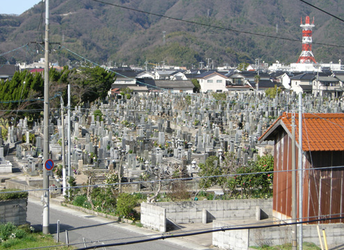 近くの公園