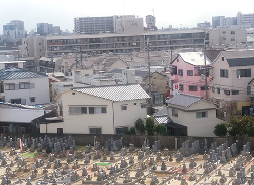 墓域３