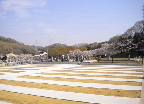 墓域