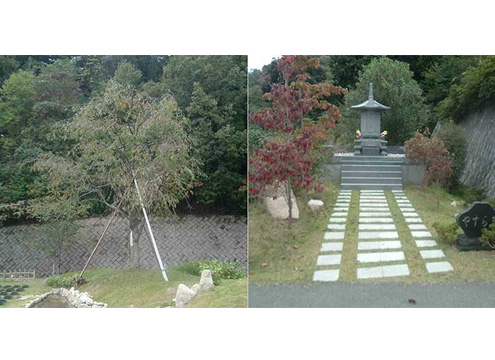 墓域