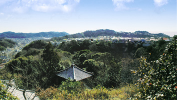 法性寺（猿畠山 法性寺）