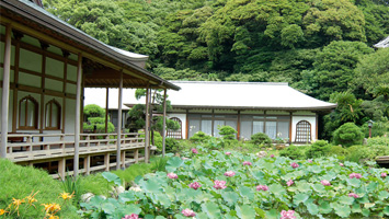 浄土宗大本山 天照山蓮華院 光明寺