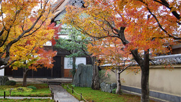 黄梅院（大徳寺塔頭）