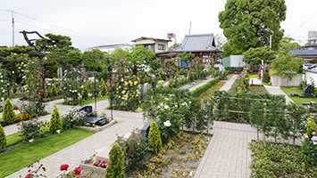 大興寺　佐賀ふれあいパーク