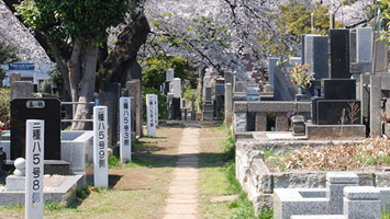 都立　染井霊園