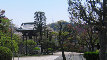 海宝院