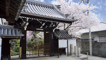 善龍寺墓地（史跡 口縄坂）