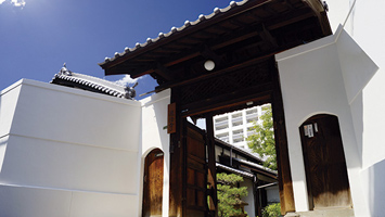 提法寺墓地