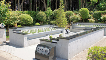 船橋メルヘンパーク　樹木葬墓地　こころの樹