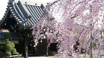 本長寺 長命殿