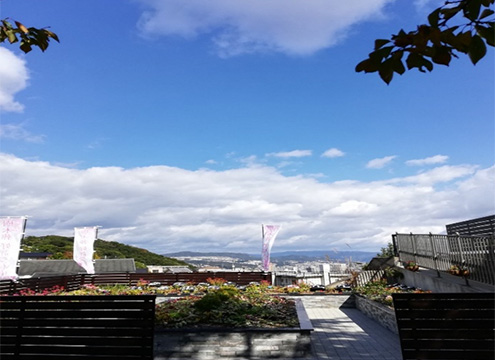 宝塚霊園